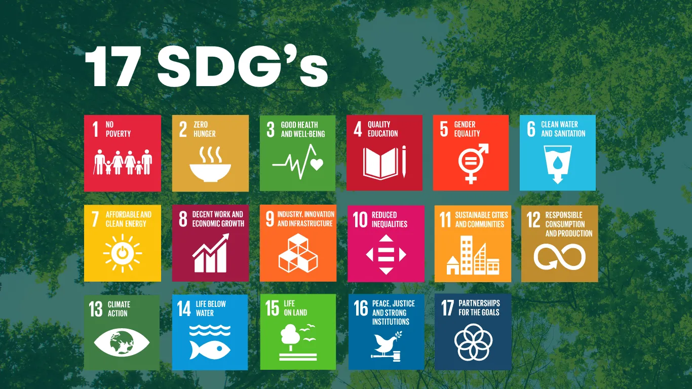 17 SDGS Agenda 2030.format Webp